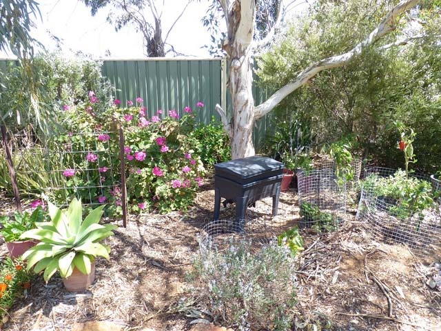 Worm Farm Close Up640 Sustainable Gardening Australia